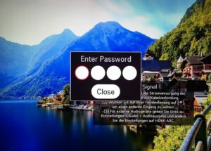LG Servicemenü PIN Abfrage