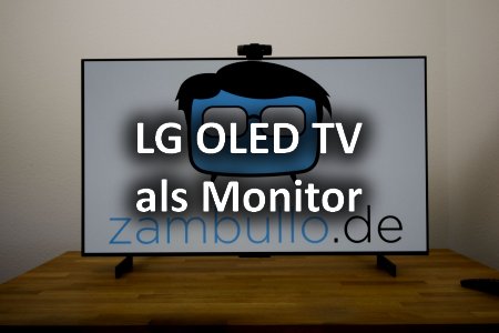 Logo LG OLED TV als Monitor